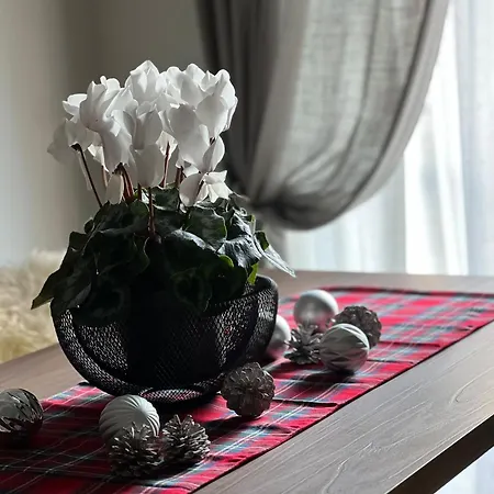 La Terrazza - Downtown - Terrace And Jacuzzi Apartment *