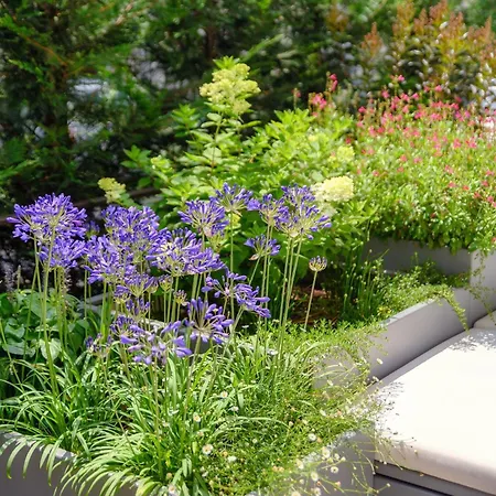 Apartment La Terrazza - Private Jacuzzi In Downtown *